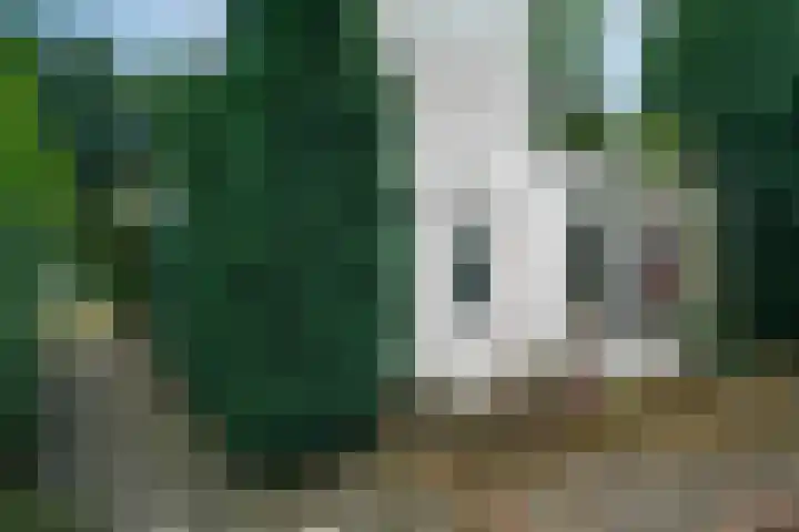 Hellingweg 10 Soest thumbnail 38