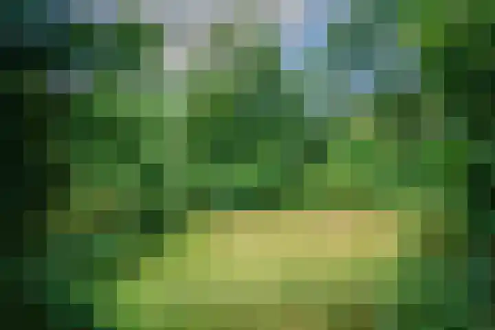 Hellingweg 10 Soest thumbnail 42