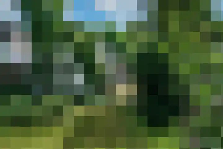 Hellingweg 10 Soest thumbnail 5