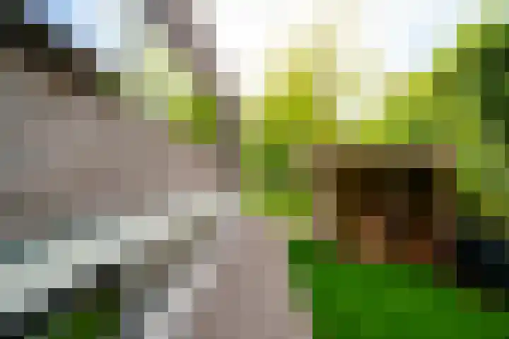 Hellingweg 17 Broek in Waterland thumbnail 53