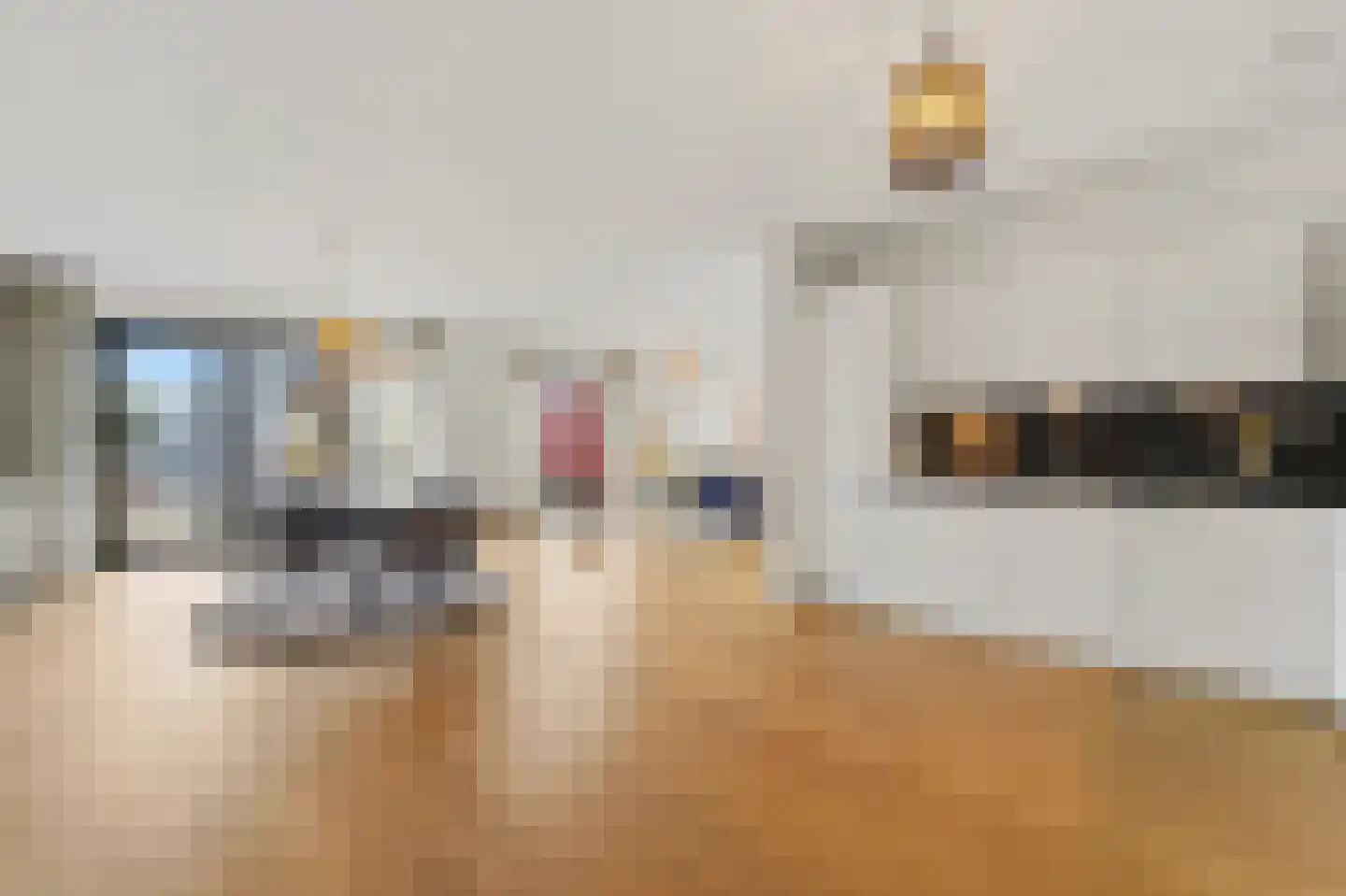 Hellingweg 20 Den Haag thumbnail 16