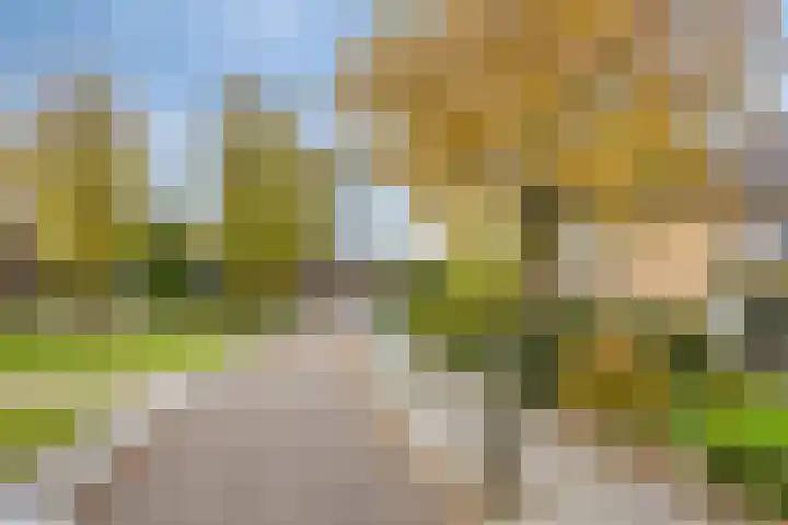 Hellingweg 26 Soest thumbnail 36