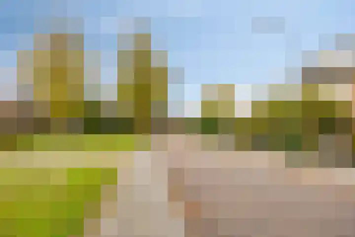 Hellingweg 26 Soest thumbnail 37