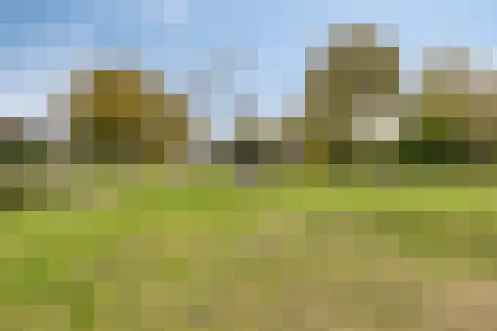Hellingweg 26 Soest thumbnail 38