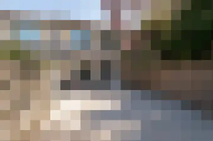 Hellouwlaan 13 Tiel thumbnail 20