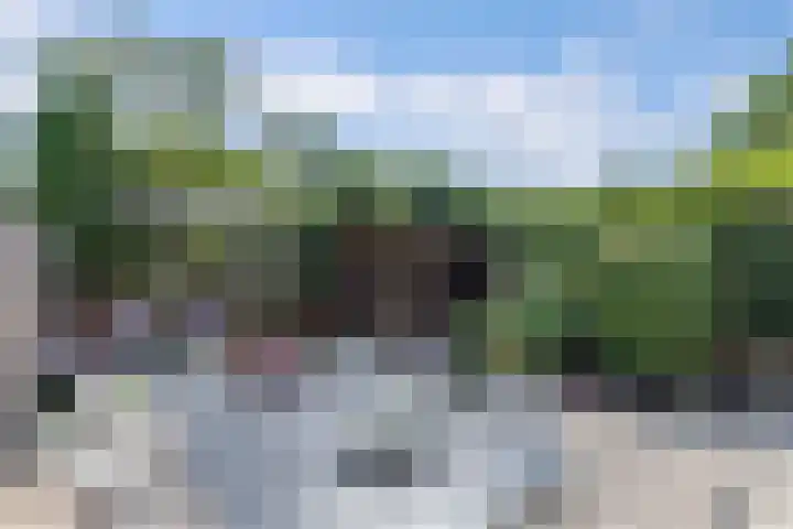 Helm 20 Huizen foto 3