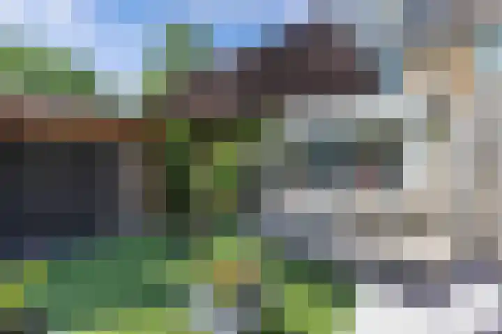 Helm 20 Huizen thumbnail 30