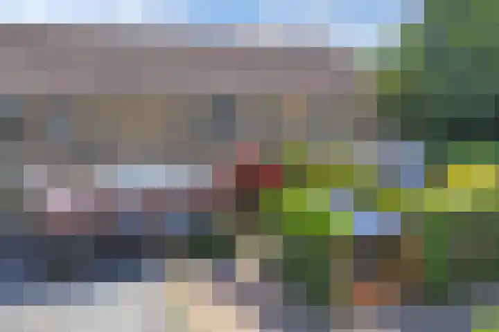 Helm 20 Huizen thumbnail 52