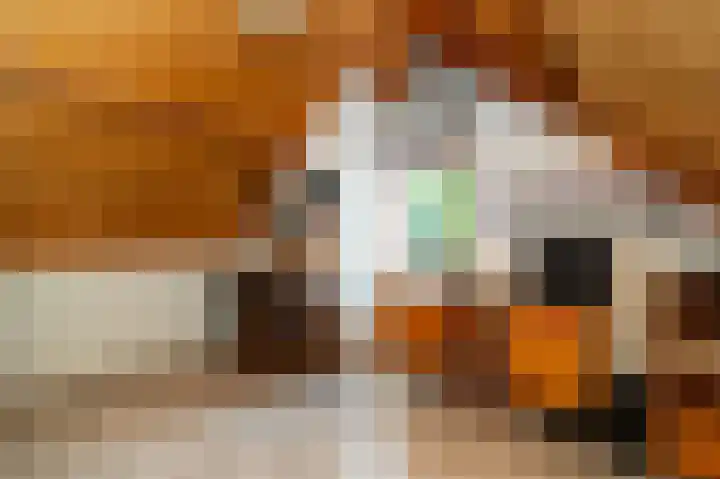 Helmbloem 12 Apeldoorn thumbnail 17