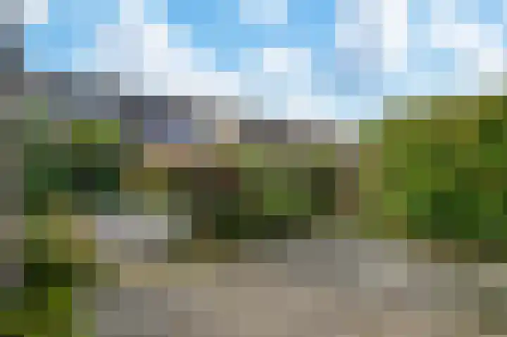 Helmbloem 12 Apeldoorn thumbnail 19