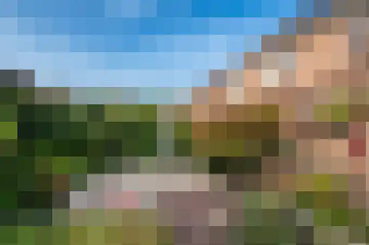 Helmbloem 12 Apeldoorn thumbnail 20