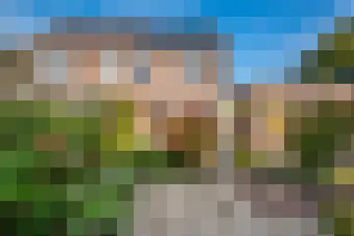Helmbloem 12 Apeldoorn thumbnail 21