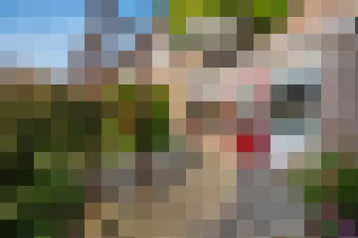 Helmbloem 12 Apeldoorn thumbnail 22