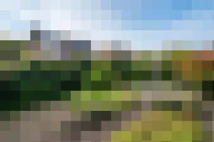 Helmbloem 12 Apeldoorn thumbnail 23