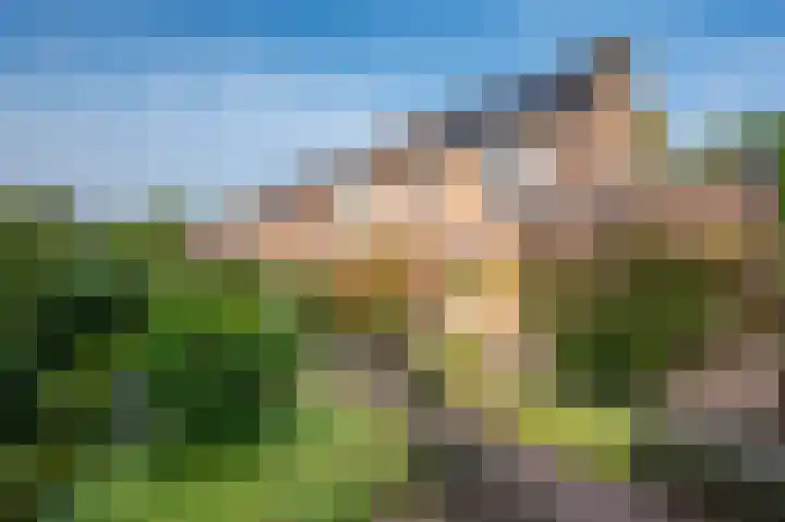 Helmbloem 12 Apeldoorn thumbnail 24