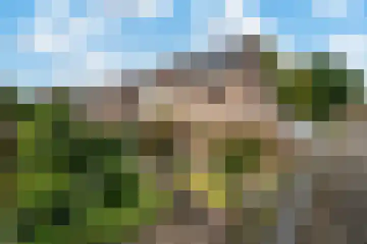 Helmbloem 12 Apeldoorn thumbnail 25