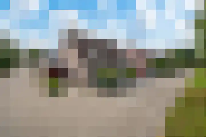 Helmbloem 12 Apeldoorn thumbnail 26