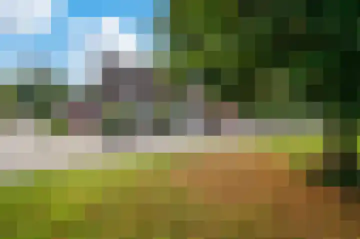 Helmbloem 12 Apeldoorn thumbnail 27