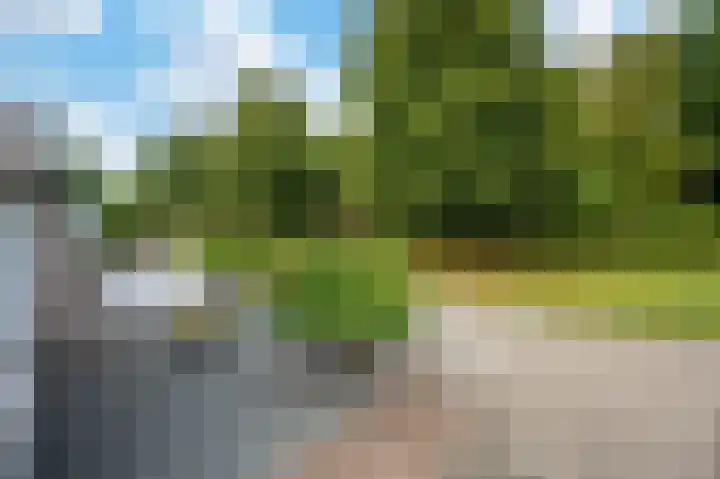 Helmbloem 12 Apeldoorn thumbnail 28