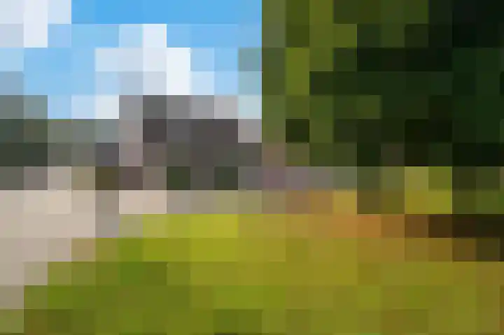 Helmbloem 12 Apeldoorn thumbnail 29