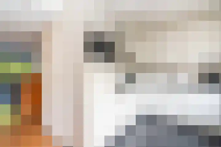 Helmbloem 12 Apeldoorn thumbnail 9