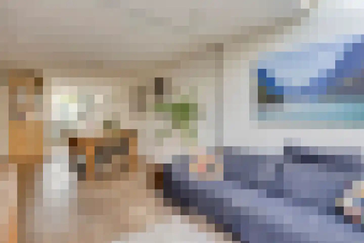 Helmbloem 20 Breukelen thumbnail 11