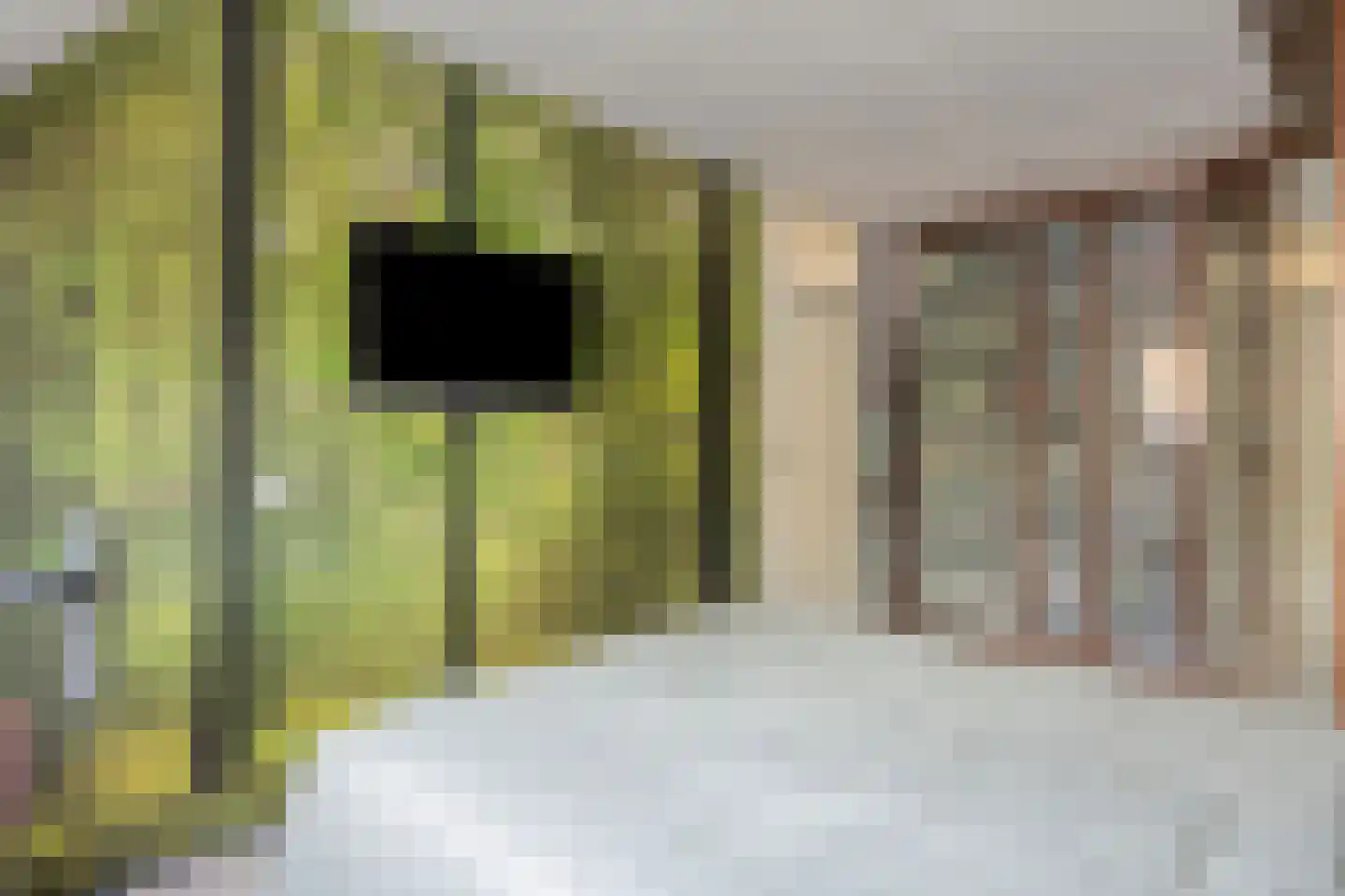 Helmbloem 20 Breukelen thumbnail 18