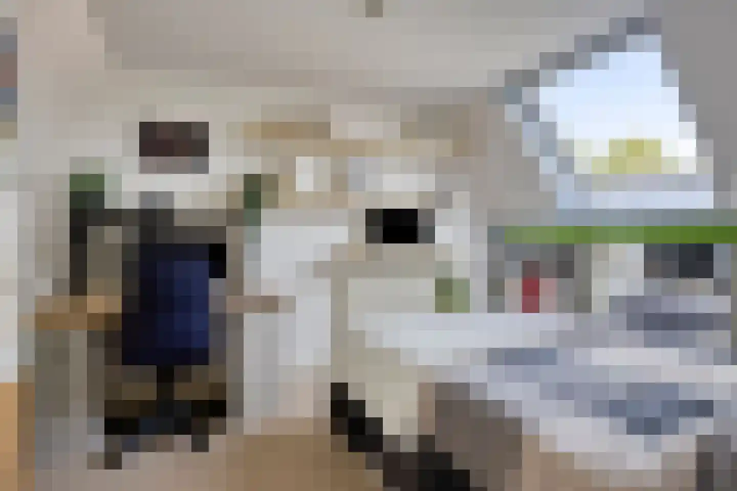 Helmbloem 20 Breukelen thumbnail 27
