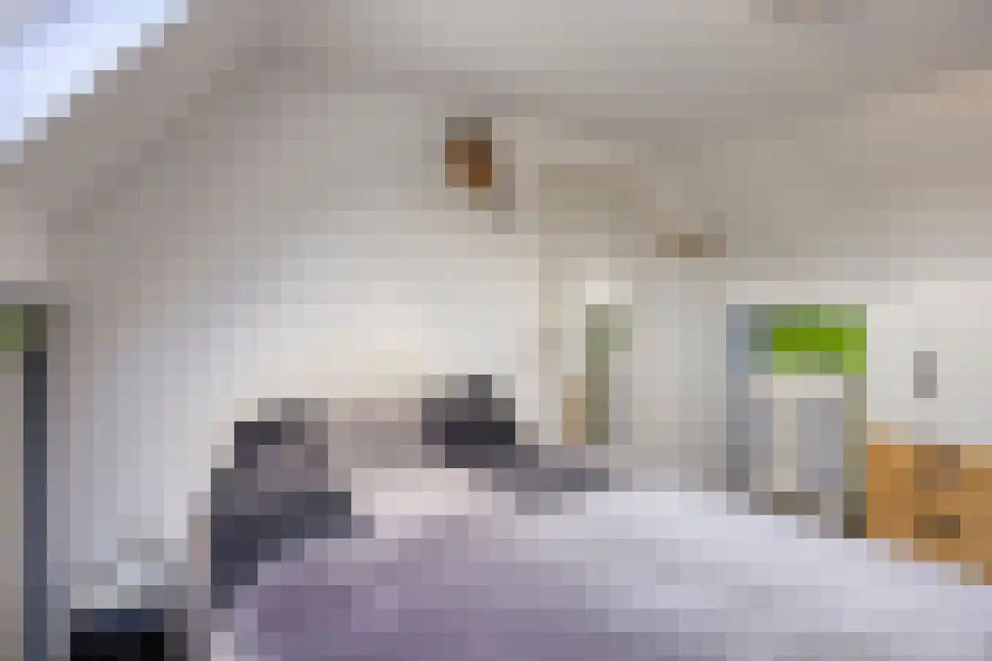 Helmbloem 20 Breukelen thumbnail 28