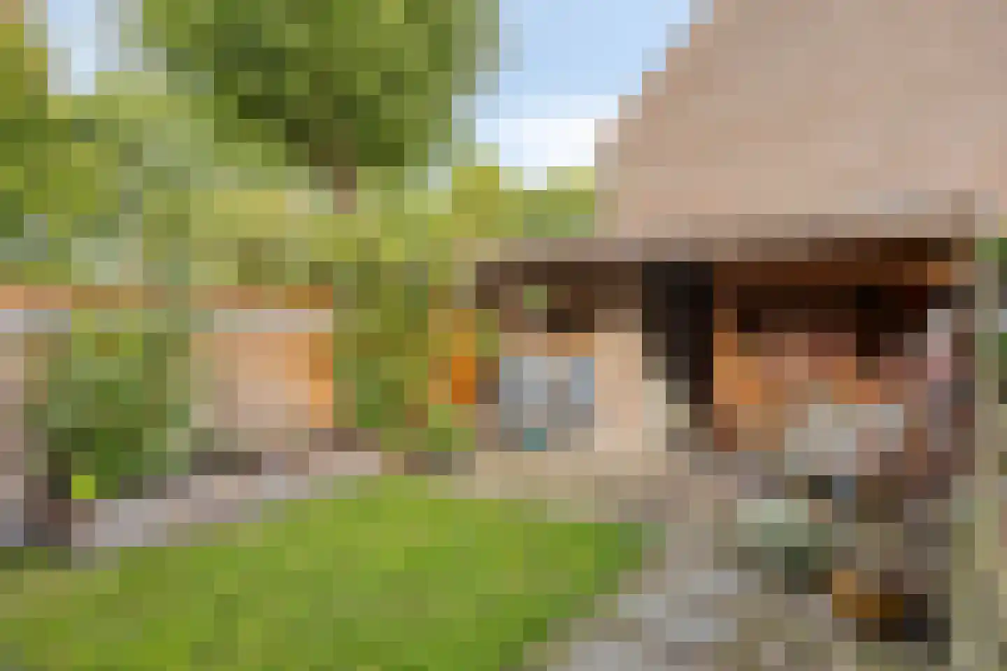 Helmbloem 20 Breukelen thumbnail 30