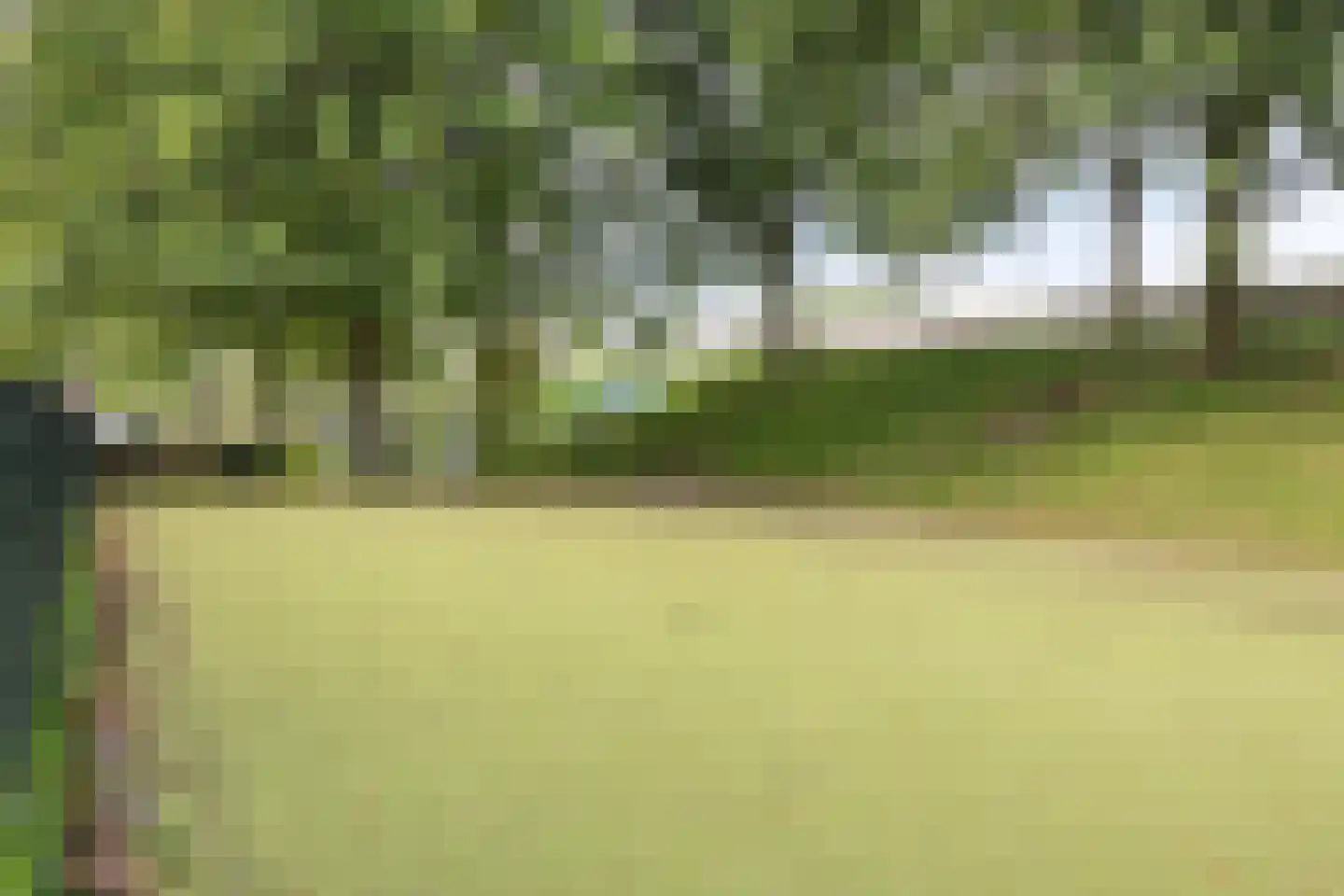 Helmbloem 20 Breukelen thumbnail 33
