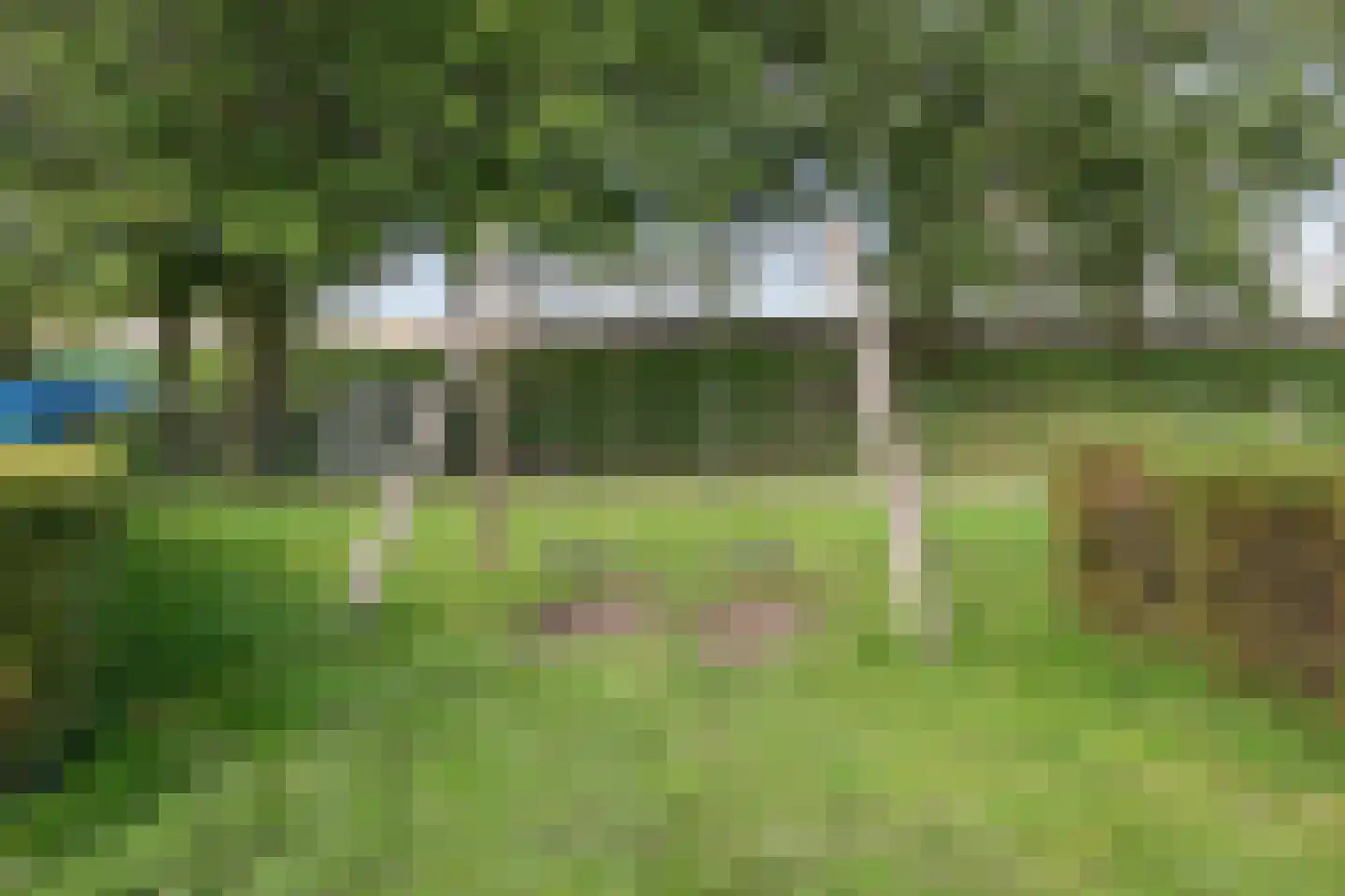 Helmbloem 20 Breukelen thumbnail 34
