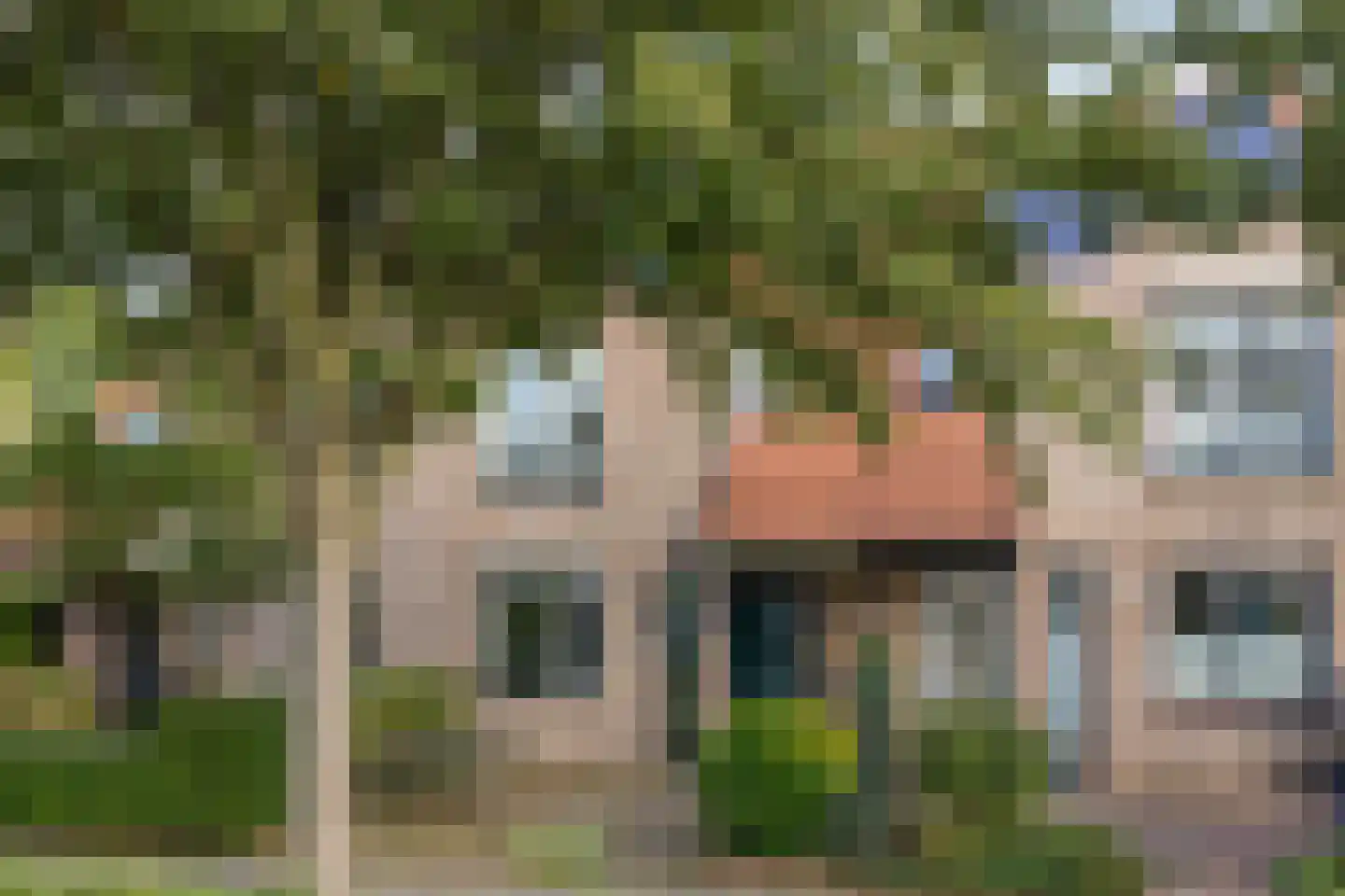 Helmbloem 20 Breukelen thumbnail 4