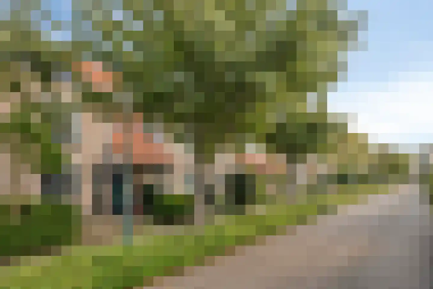 Helmbloem 20 Breukelen thumbnail 5