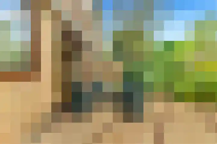 Helmbloem 3 Castricum thumbnail 35