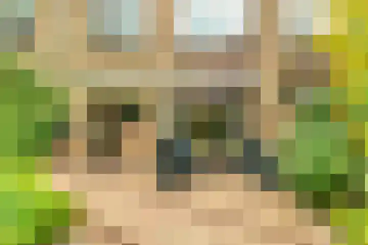 Helmbloem 3 Castricum thumbnail 37