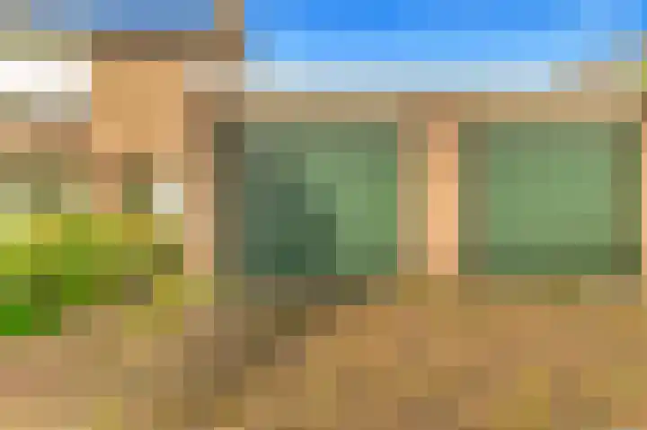 Helmbloem 3 Castricum thumbnail 43