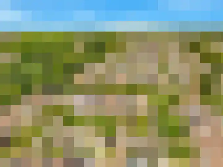 Helmbloem 3 Castricum thumbnail 46