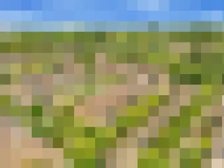 Helmbloem 3 Castricum thumbnail 47
