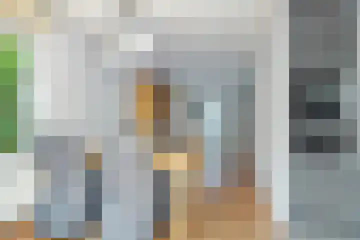 Helmbloem 36 Apeldoorn thumbnail 10