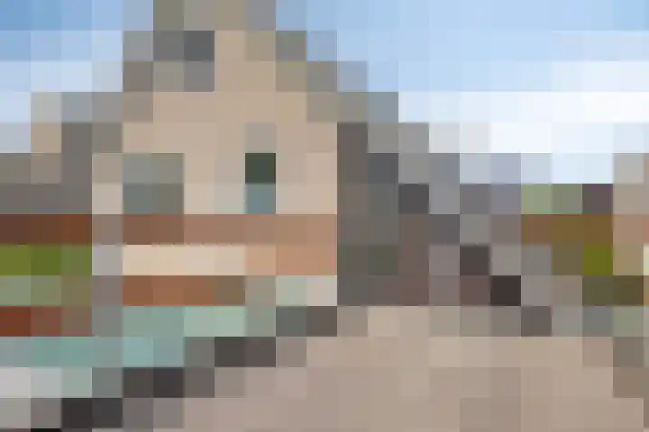 Helmbloem 36 Apeldoorn thumbnail 29