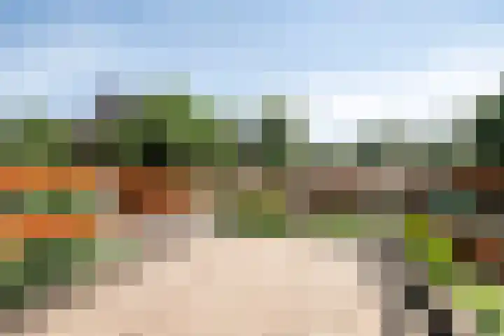 Helmbloem 36 Apeldoorn thumbnail 30