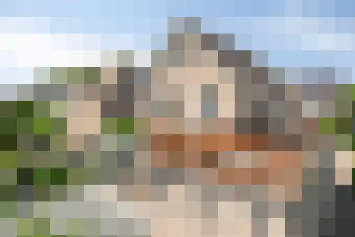 Helmbloem 36 Apeldoorn thumbnail 31