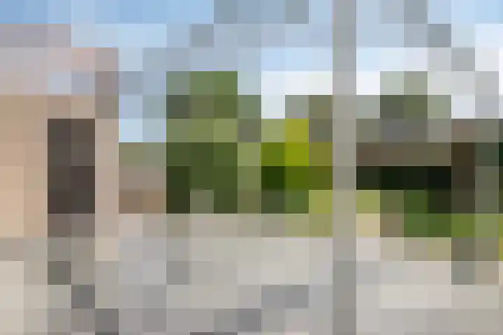 Helmbloem 36 Apeldoorn thumbnail 33