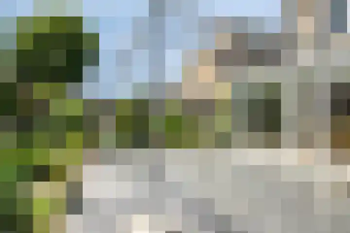 Helmbloem 36 Apeldoorn thumbnail 34