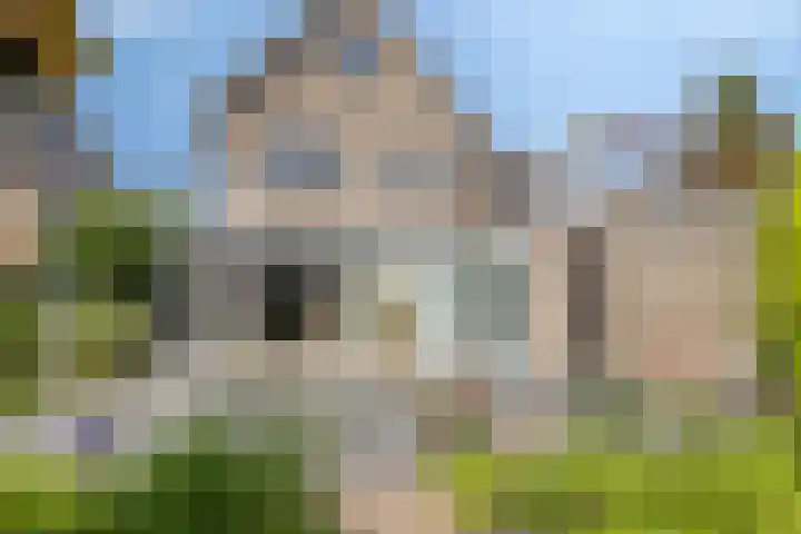 Helmbloem 36 Apeldoorn thumbnail 35