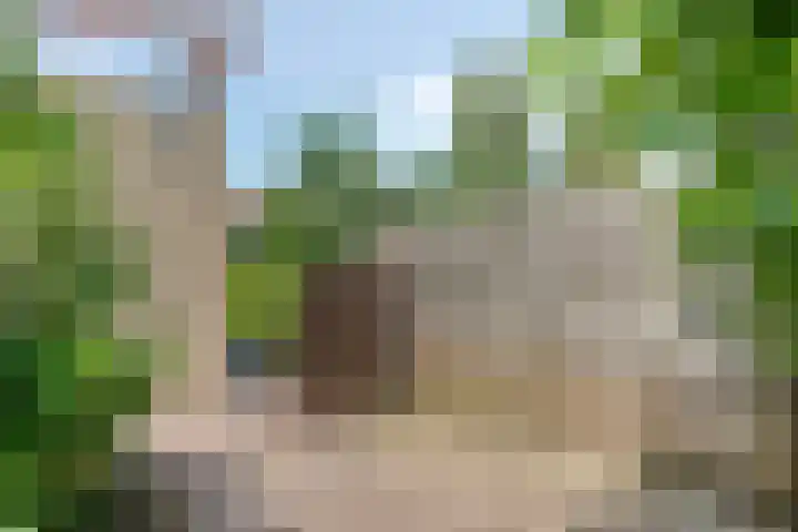 Helmbloem 36 Apeldoorn thumbnail 36
