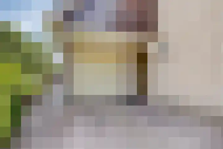 Helmbloem 36 Apeldoorn thumbnail 38