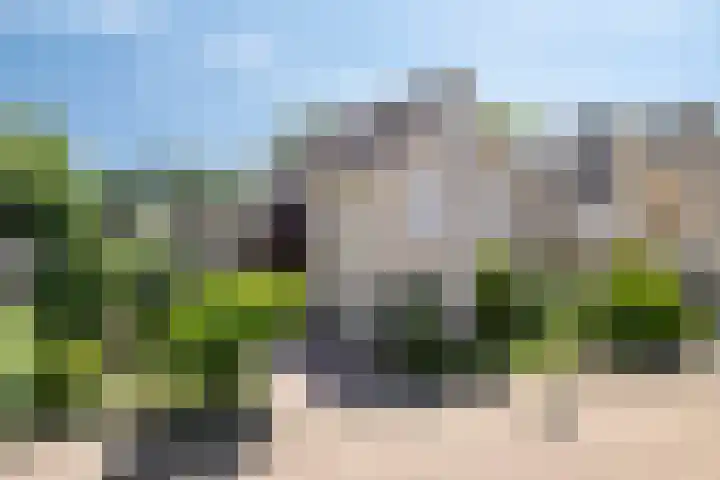 Helmbloem 36 Apeldoorn thumbnail 41