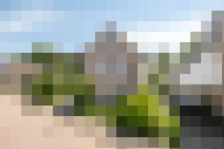 Helmbloem 36 Apeldoorn thumbnail 43